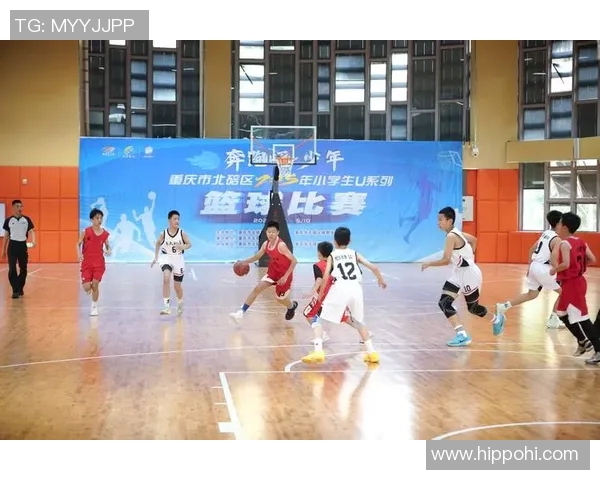 重庆篮球队最新比赛经验排名前十的精彩分析与总结