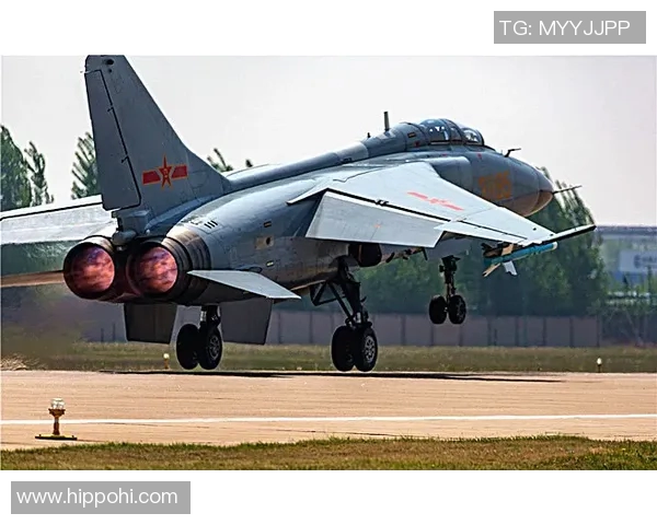 领航者与飞豹的精彩对决揭示了现代战斗机技术的巅峰之争与未来发展趋势