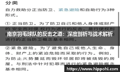 南京羽毛球队的反击之道：深度剖析与战术解析